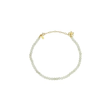 Maanesten Aponi Ankelkæde Guld