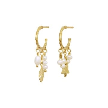 Maanesten Susu Øreringe Guld