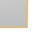 Montana Colour Frame Spejl SG3216 93x186 - 166 Acacia (8-12 ugers Levering)