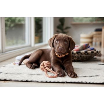 OYOY Otto Rope Hundelegetøj Caramel