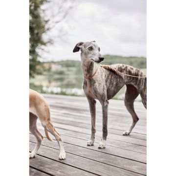 OYOY Robin Hundesnor Natural M/L