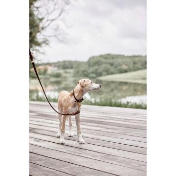 OYOY Robin Hundesnor Choko M/L