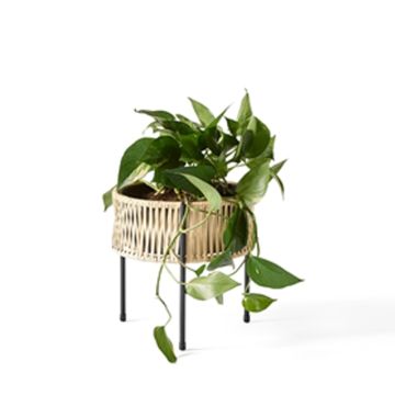 Audo Copenhagen Umanoff Planter H 27 cm