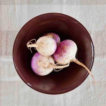 OYOY Skak Dug Clay 200x140