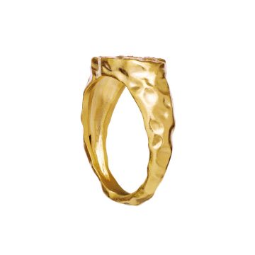 Maanesten Demi ring guld