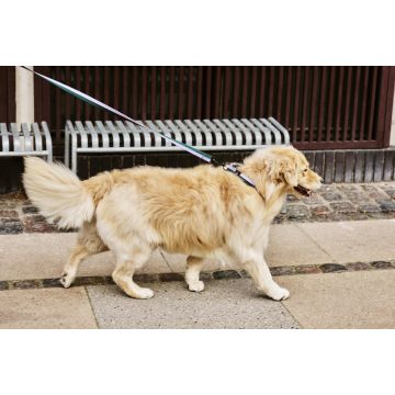 HAY Dogs Leash Flat Lavender/Green