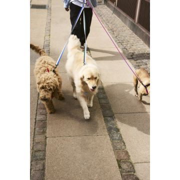 HAY Dogs Leash Flat Blue/Off-White