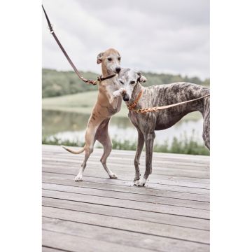 OYOY Robin Hunde Halsbånd Natural