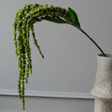 Botané Amaranthus Flower Green