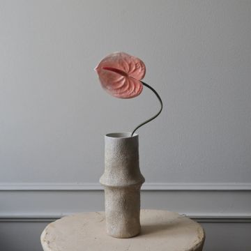 Botané Anthurium Flower Light Pink