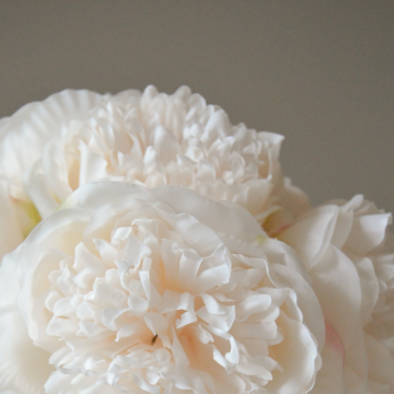 Botané Mini Pæon Buket Cream