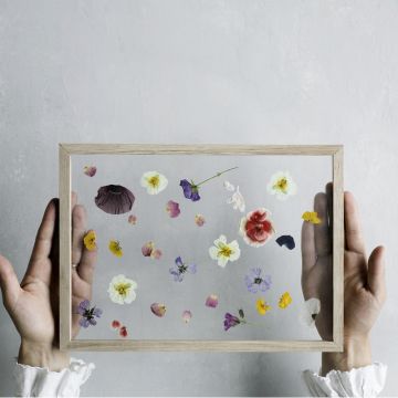 Moebe Ramme Frame Eg A2