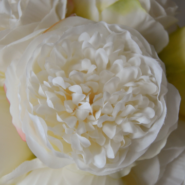 Botané Mini Pæon Buket White