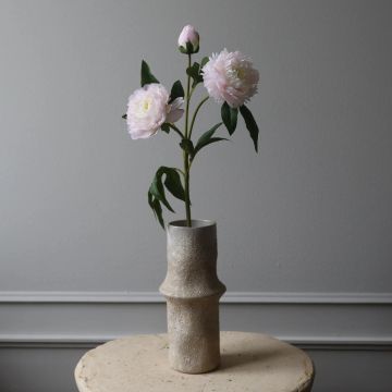 Botané Pæon Flower Rose