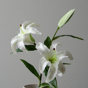 Botané Small Lily Flower