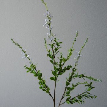 Botané Wild Flower Green